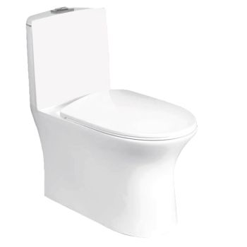 Parryware Jordon Single Piece Suite S 220