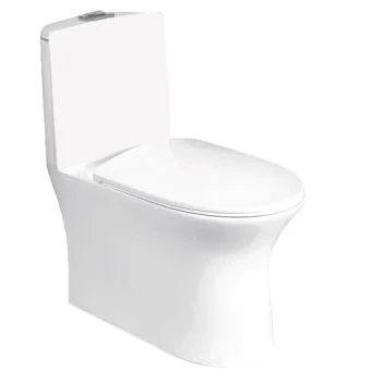 Parryware Jordon Single Piece Suite S 220