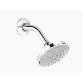 Kohler Rainduet Single Function  Organic Showerhead Polished Chrome (K-23657In-Cp)