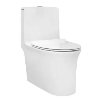 Parryware Aquiline Rimless Water Closet Floor Mounted S-Trap 220